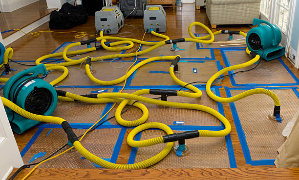 Professional Burst Pipe Water Damage technician working in Midway, WV